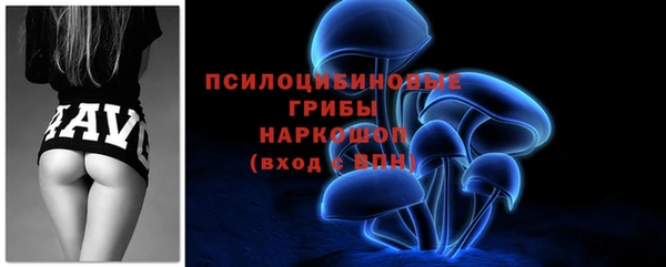 apvp Мосальск