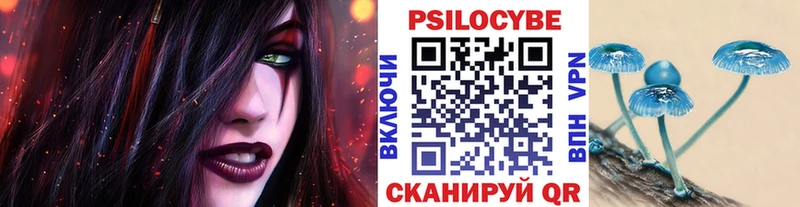мориарти клад  Крым  Галлюциногенные грибы Psilocybine cubensis 